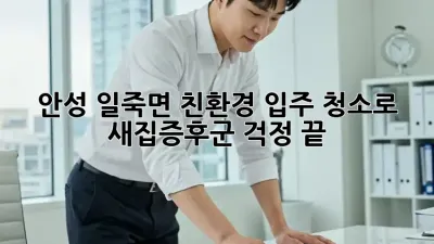 안성 일죽면🏡 친환경 입주 청소로 새집증후군 걱정 끝! 🌿